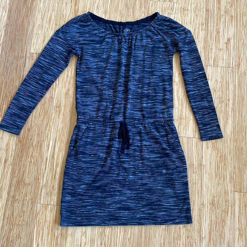 Ann Taylor Loft cozy dress